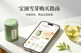 宝顶雪芽还能买到吗