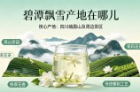 碧潭飘雪产地在哪儿