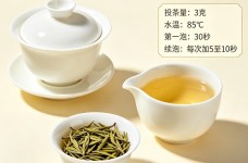 蒙顶黄芽怎么泡