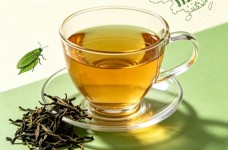 东方美人茶名字的由来