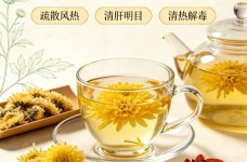 菊花茶是凉性的吗