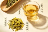 霍山黄大茶品质特征