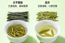 太平猴魁和龙井哪个好