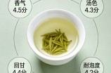 双桥毛尖什么档次