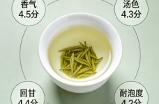 双桥毛尖什么档次