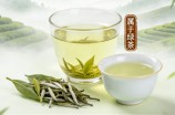 上饶白眉是绿茶还是白茶