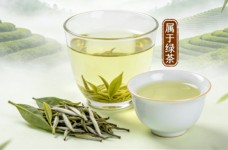 上饶白眉是绿茶还是白茶