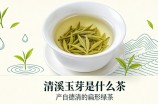 清溪玉芽是什么茶