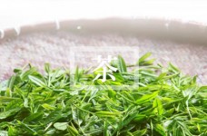 **老班章 vs 新班章区别**，一字之差差在哪？