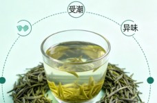 黄山毛峰保质期几年
