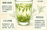 建德苞茶档次如何