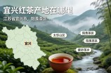 宜兴红茶产地在哪里