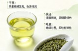 苍山雪绿的外观是怎样