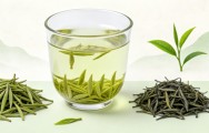 蒲江雀舌绿茶怎么样