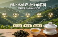 闽北水仙产地分布解析