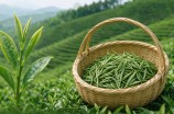汉中仙毫茶叶的价格多少