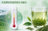日照绿茶是寒性的吗