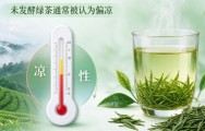 日照绿茶是寒性的吗