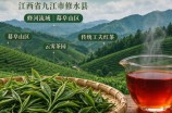 宁红工夫茶的产地在哪里