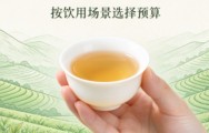 松溪小白茶的价格多少