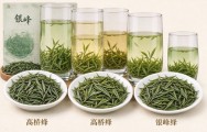 高桥银峰属于高档茶吗