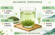 车云山毛尖绿茶怎么样