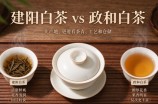 建阳白茶好还是政和白茶好
