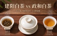 建阳白茶好还是政和白茶好